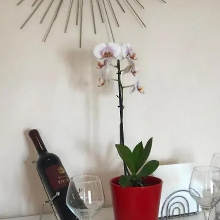 One Bedroom With Terrace *