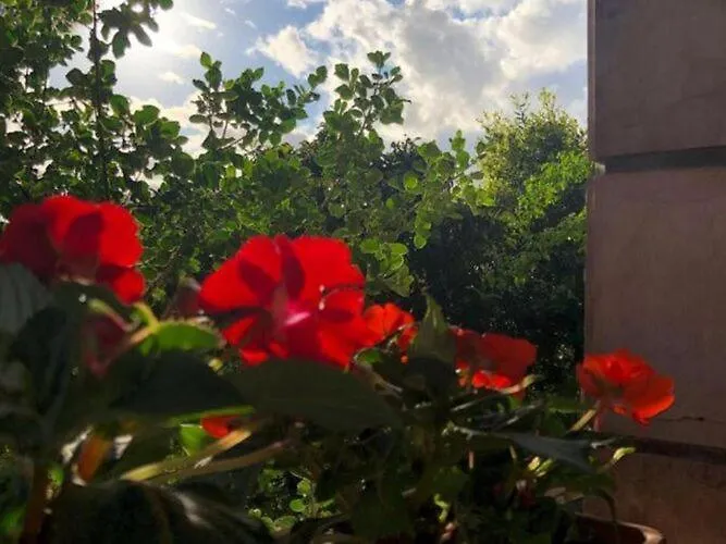 One Bedroom With Terrace شقة