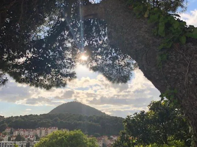 One Bedroom With Terrace شقة *