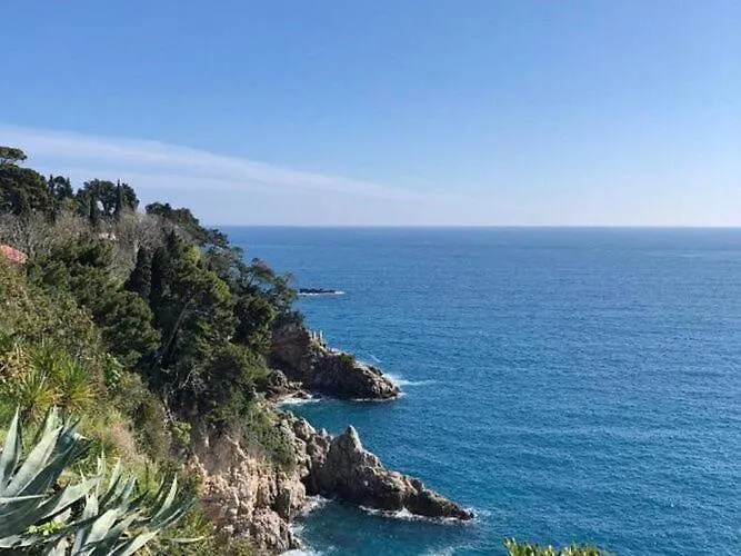 One Bedroom With Terrace Lejlighed