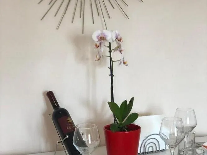 One Bedroom With Terrace *