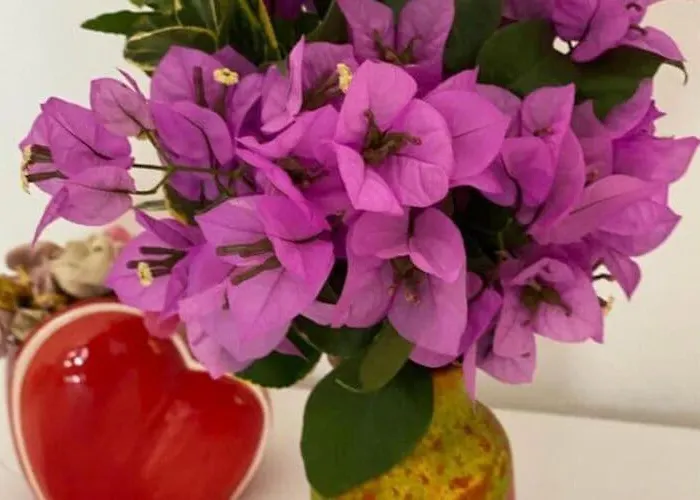 One Bedroom With Terrace Dubrovnik