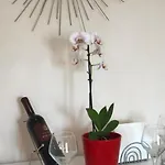 One Bedroom With Terrace *